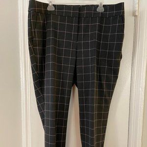 Loft Business or Dress Pants